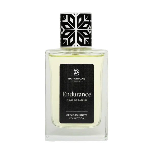 Endurance Online - Image 4